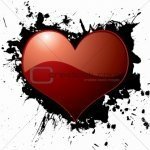 Martin__33